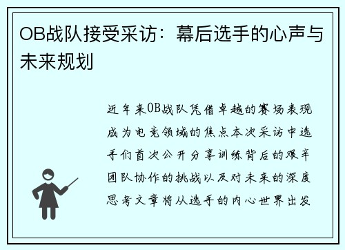 OB战队接受采访：幕后选手的心声与未来规划