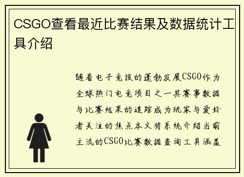 CSGO查看最近比赛结果及数据统计工具介绍