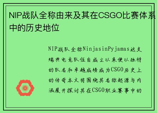 NIP战队全称由来及其在CSGO比赛体系中的历史地位